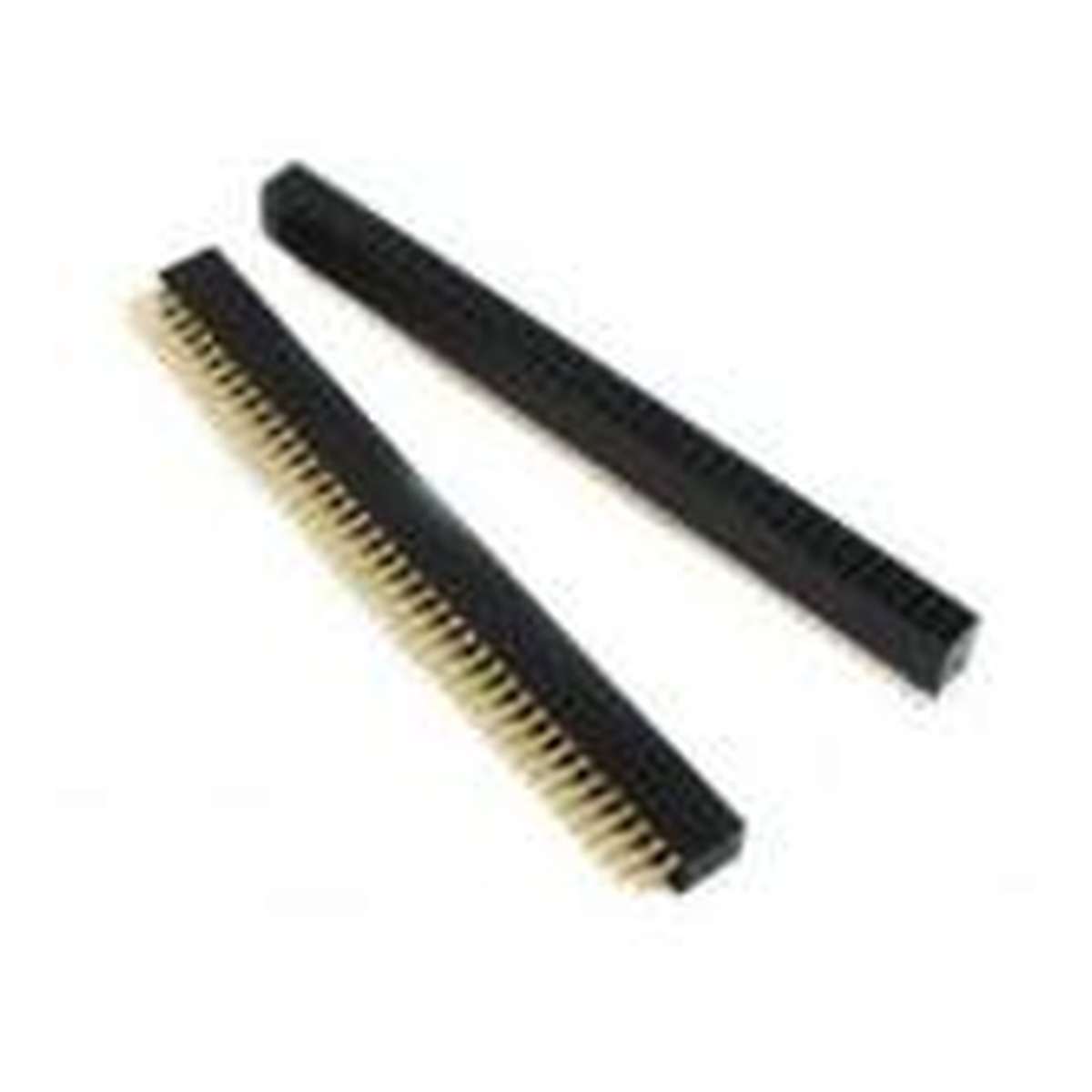 40 pin double femal