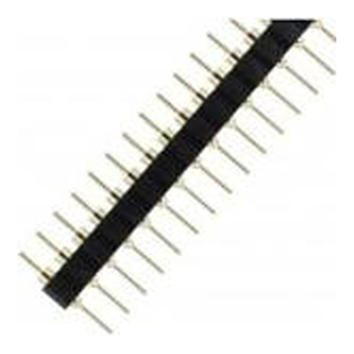 Embase femelle ronde à une rangée, 40 broches, 2,54 mm 1 pièce