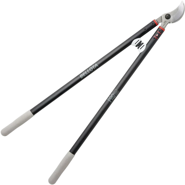 Secateurarbbresbellota 75 cm
