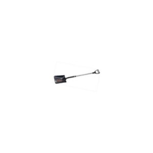 PELLE CARREE BELLOTA - 3104MFV