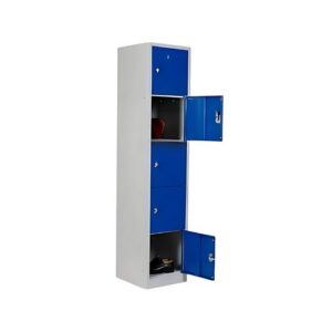 Casier Métallique 5 Compartiments – Rangement Sécurisé & Format Gain de Place pour Espaces Collectifs