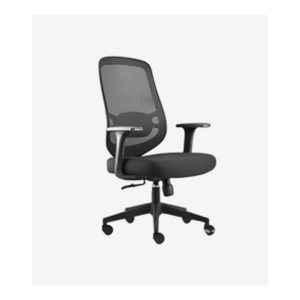 Fauteuil de bureau ergonomique à dossier mesh – confort réglable et design épuré - SIE-CHAI-014