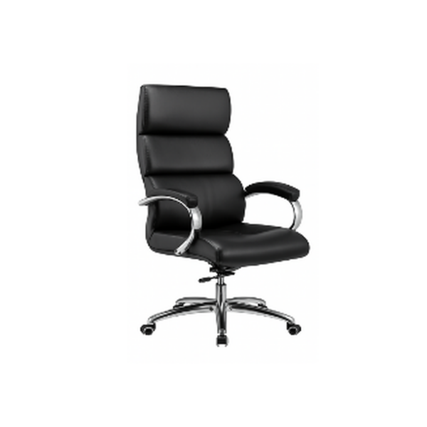 Fauteuil de direction ergonomique à dossier segmenté