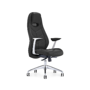 Fauteuil de Bureau Ergonomique Executive Luxe – Soutien Total & Design Élégant - SIE-FAUT-020