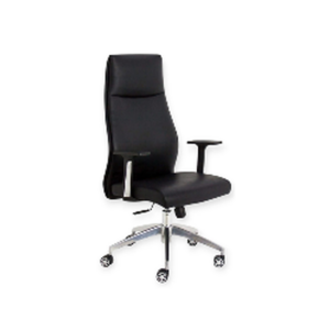 Fauteuil de Bureau Ergonomique TiltBack Pro – Inclinaison Contrôlée & Confort Actif - SIE-FAUT-033