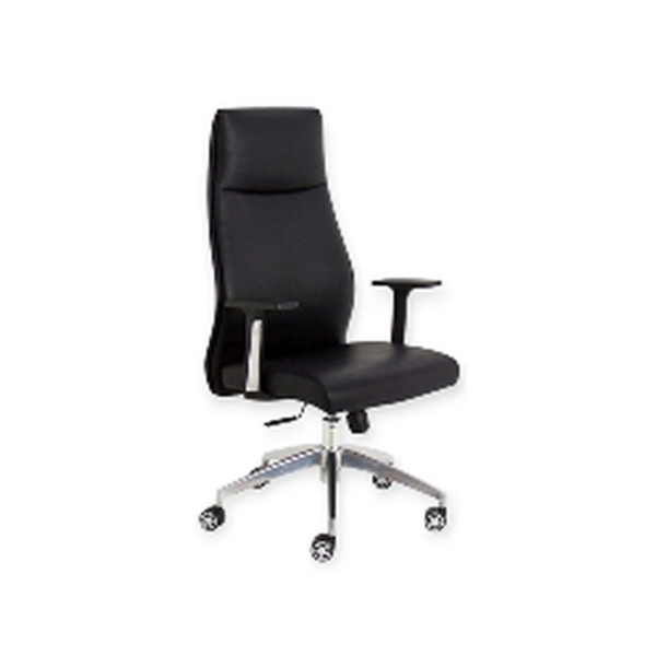 Fauteuil de Bureau Ergonomique TiltBack Pro – Inclinaison Contrôlée & Confort Actif