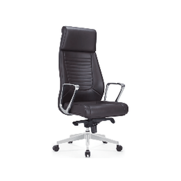 Fauteuil de Bureau ORLO Vision Pro – Soutien Cervical & Design Structuré